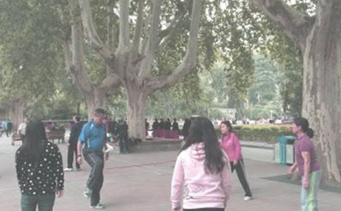 關(guān)于晨練作文