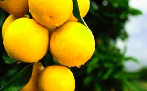 ��B��������