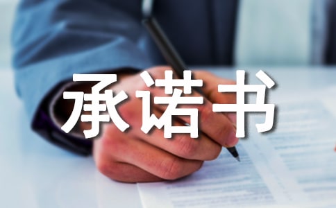 停工安全承諾書范文