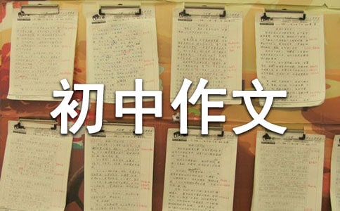 精選優(yōu)秀初中作文300字五篇