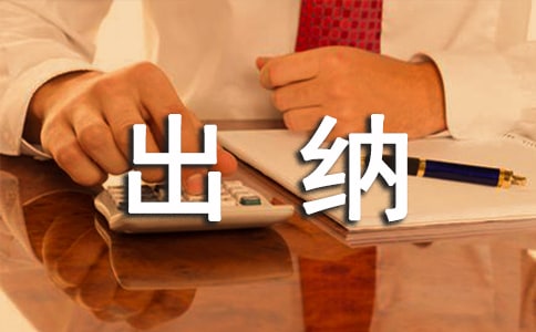 出納個(gè)人工作總結(jié)(13篇)