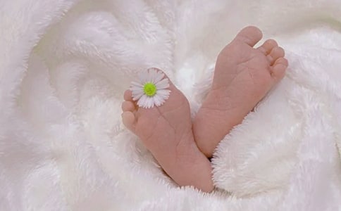 �����C��Ո��(15ƪ)