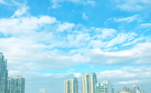 春風(fēng)吹又生作文700字