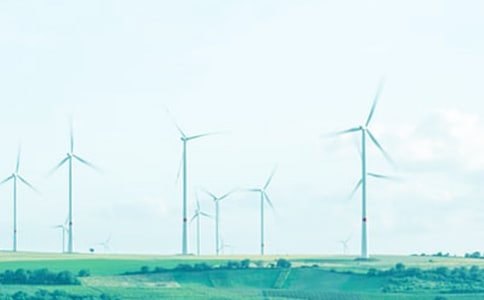 展青春風(fēng)采 促招商引資