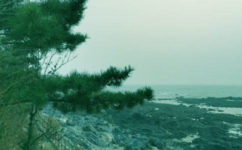 ���������L(f��ng)������