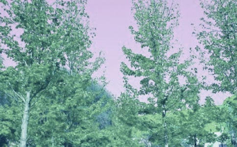 ���L���ꡡУ����ò��