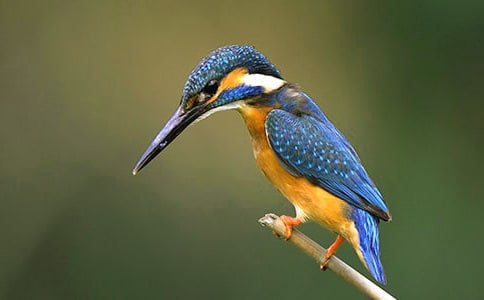 ���B������