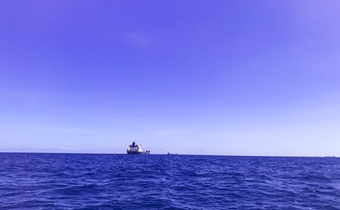 大海優(yōu)秀的作文