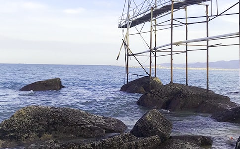 �c�󺣵��H�ܽ��|����