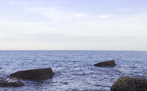 描寫大海的句子(集錦15篇)