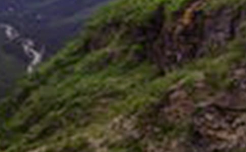 �Pƽ���еĴ�ɽ��(y��u)������