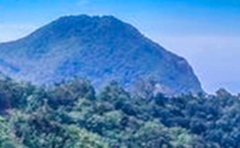 ��ɽ��̎����