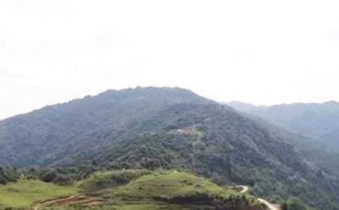 大山優(yōu)秀作文