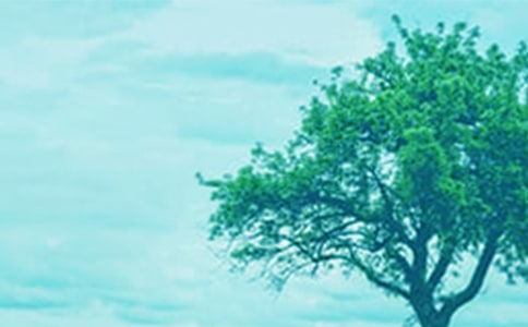 ���С������