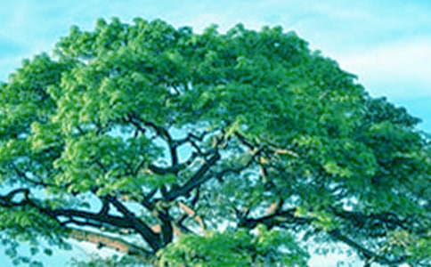 ���(sh��)�cС�݃�(y��u)������2ƪ