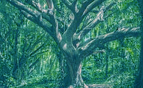 [��(y��u)��]�����ҵĴ������