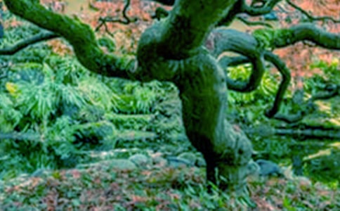 ���(sh��)�ąȺ�����