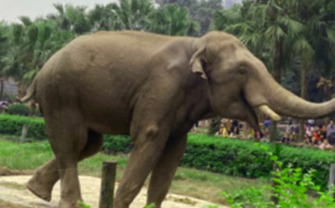 ���g(sh��)�̰�����������