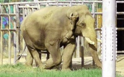 �����һ�꼉(j��)�ƌW(xu��)��(g��)�˽̌W(xu��)Ӌ(j��)�������x11ƪ��