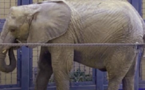 �����c����