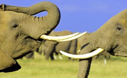 �P(gu��n)�ڴ��������