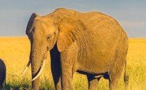 ����С�W(xu��)�����ģ����x3ƪ��