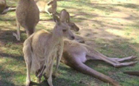 ����(y��u)�����ģ����x30ƪ��