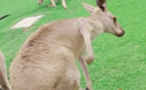 �w���Α�������̰�