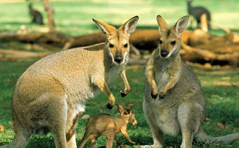 �������������