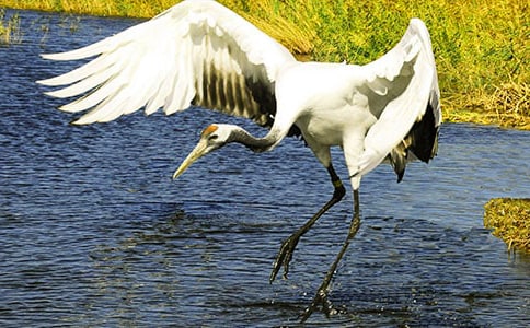 �������ĵ���Q�� ���̺�ӛ