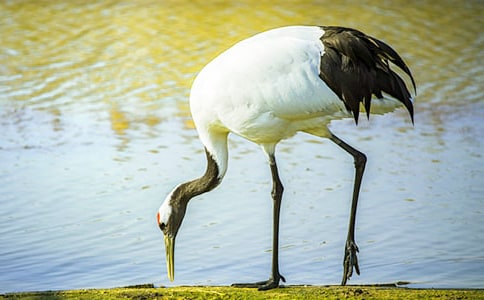 ����Q����600��