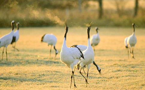 ����Q����(15ƪ)