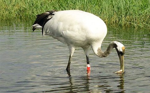 �������ĵ���Q�� ֮��