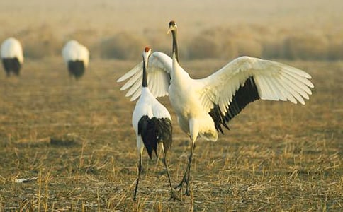 ����Q����