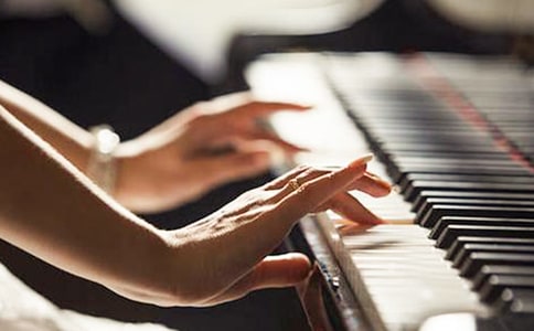 ��ţ����