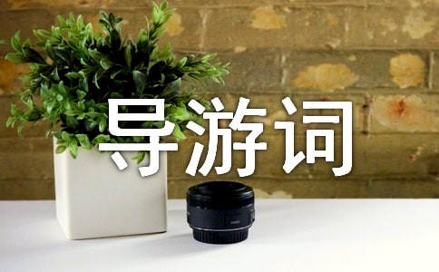 �����~����