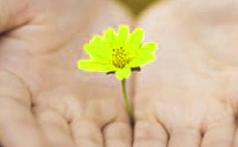 ��Ǹ���(sh��)�oŮ����10ƪ