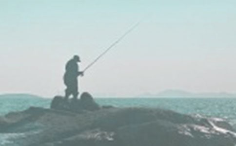 釣魚的啟示優(yōu)秀作文