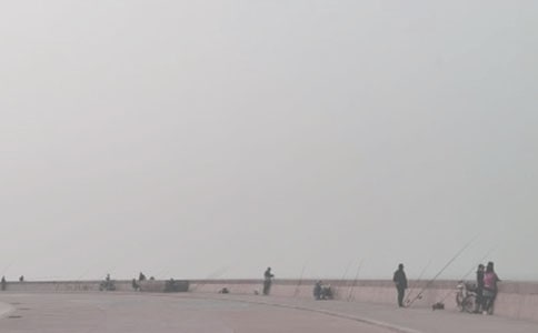 ��~�Ć�ʾ����800��