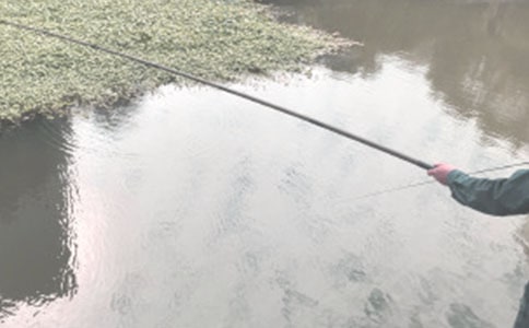 釣魚(yú)的作文【推薦】