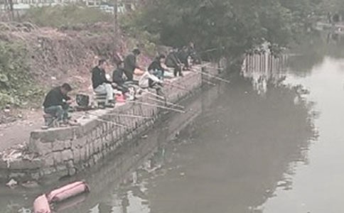 釣魚作文300個(gè)字