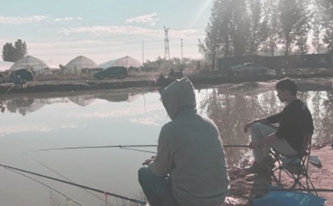 ��~����800��