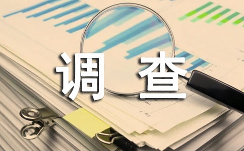 【推薦】社會調查報告模板匯編10篇
