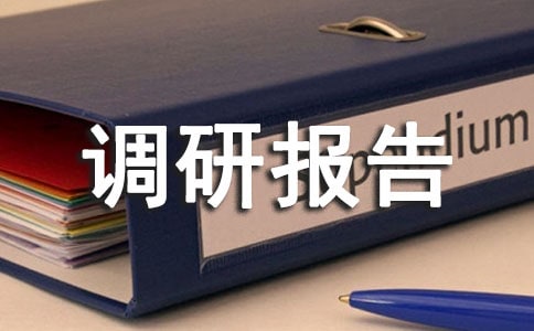 養(yǎng)老調(diào)研報告