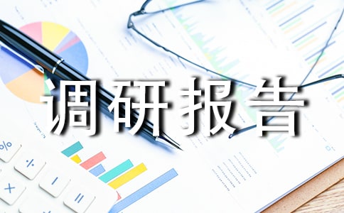 新農(nóng)村建設(shè)調(diào)研報(bào)告(精選19篇)