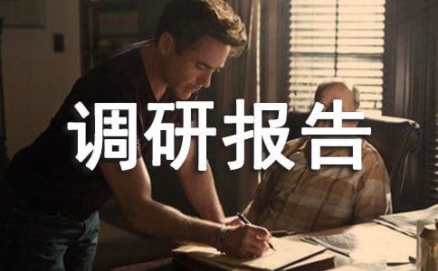 體育調(diào)研報(bào)告