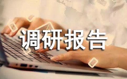 走訪調(diào)研報(bào)告