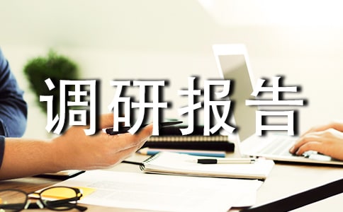 工程類的調(diào)研報(bào)告模板