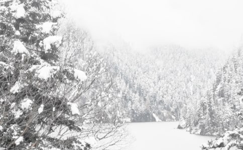 ������ȫ�Բ��(b��o)��