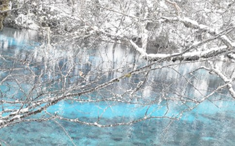 ������ȫ�Բ���13ƪ